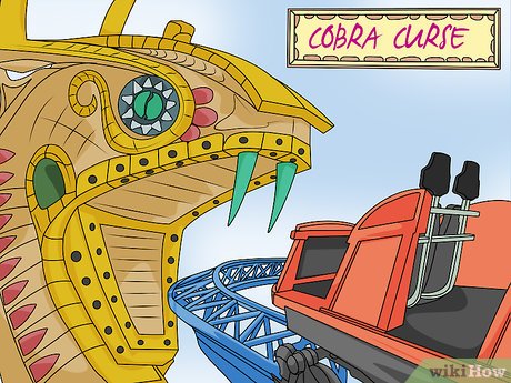 How to Visit Busch Gardens Tampa Picture 55