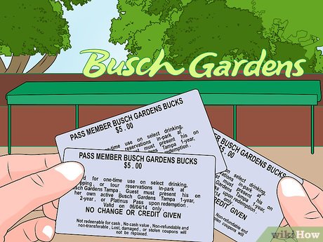 How to Visit Busch Gardens Tampa Picture 7