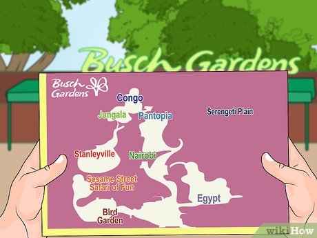 How to Visit Busch Gardens Tampa Picture 8