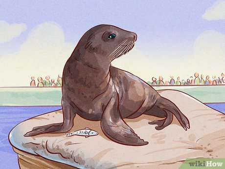 How to Visit Central Park Picture 17