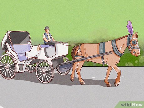 How to Visit Central Park Picture 8