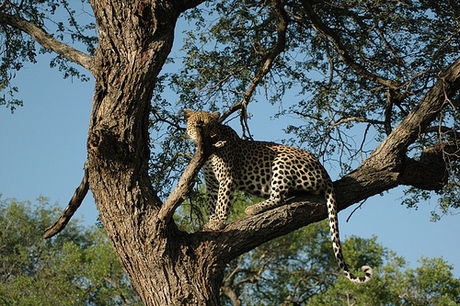 How to Visit LEGOLAND California Picture 10