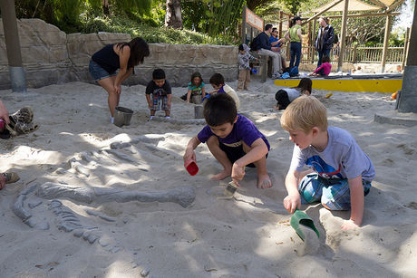 How to Visit LEGOLAND California Picture 6