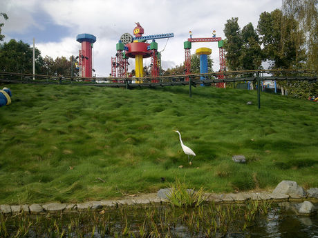 How to Visit LEGOLAND California Picture 7