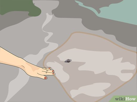 How to Visit SeaWorld Orlando Picture 11