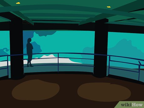 How to Visit SeaWorld Orlando Picture 12