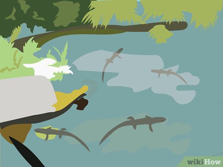 How to Visit SeaWorld Orlando Picture 13