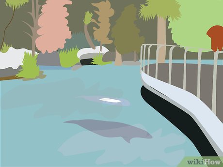 How to Visit SeaWorld Orlando Picture 14