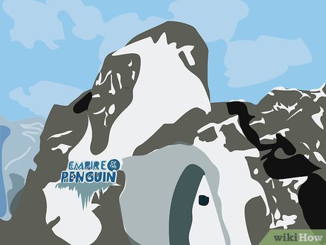 How to Visit SeaWorld Orlando Picture 20