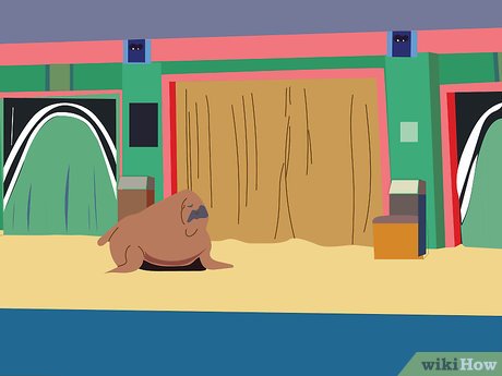 How to Visit SeaWorld Orlando Picture 23