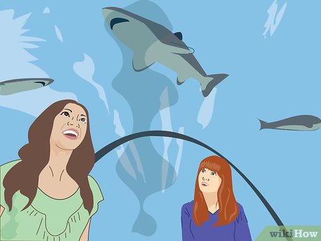 How to Visit SeaWorld Orlando Picture 24