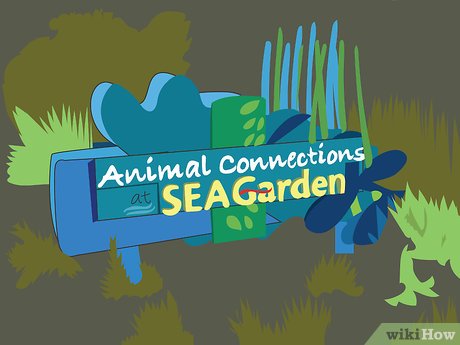 How to Visit SeaWorld Orlando Picture 26