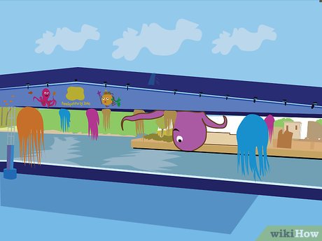 How to Visit SeaWorld Orlando Picture 29