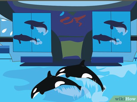 How to Visit SeaWorld Orlando Picture 30