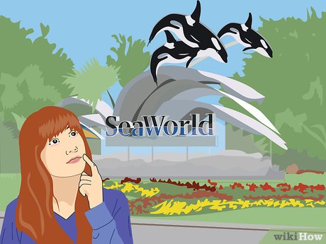 How to Visit SeaWorld Orlando Picture 4