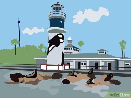 How to Visit SeaWorld Orlando Picture 6