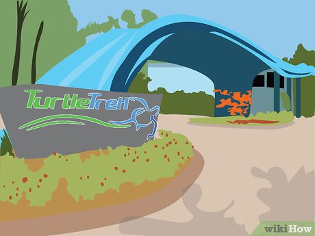 How to Visit SeaWorld Orlando Picture 8