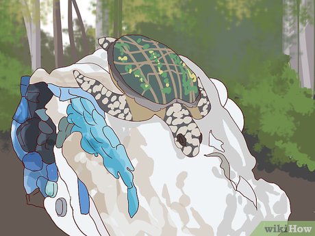 How to Visit SeaWorld San Diego Picture 11