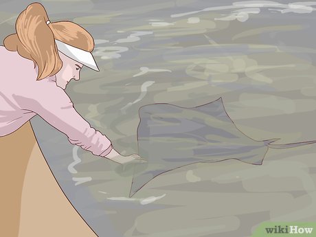 How to Visit SeaWorld San Diego Picture 13