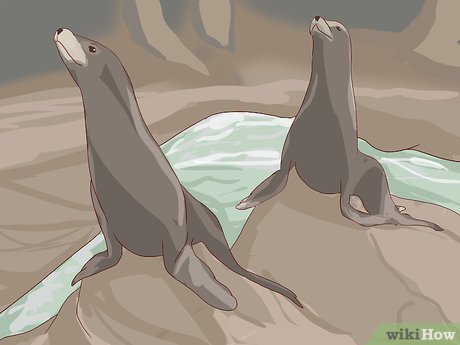 How to Visit SeaWorld San Diego Picture 16