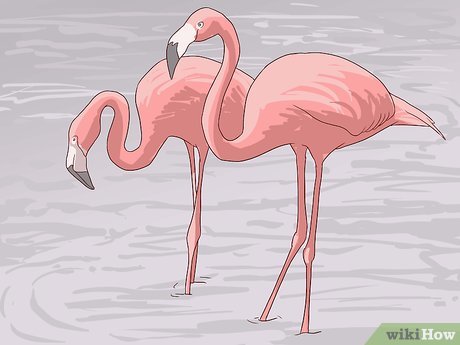 How to Visit SeaWorld San Diego Picture 18