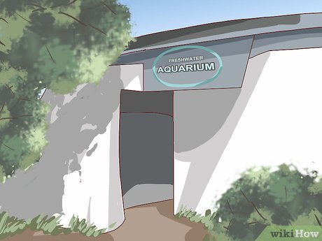 How to Visit SeaWorld San Diego Picture 21