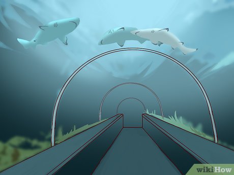 How to Visit SeaWorld San Diego Picture 22