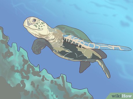 How to Visit SeaWorld San Diego Picture 23