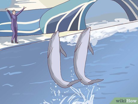 How to Visit SeaWorld San Diego Picture 24