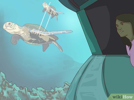 How to Visit SeaWorld San Diego Picture 25