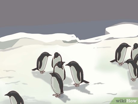 How to Visit SeaWorld San Diego Picture 28