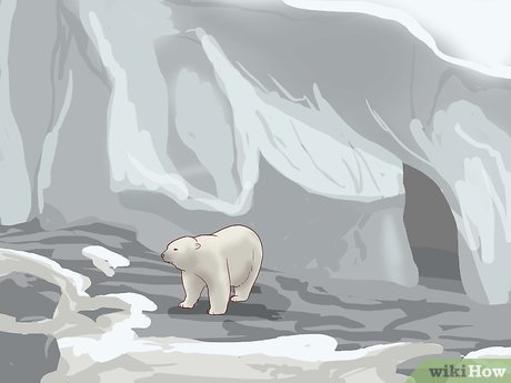 How to Visit SeaWorld San Diego Picture 29