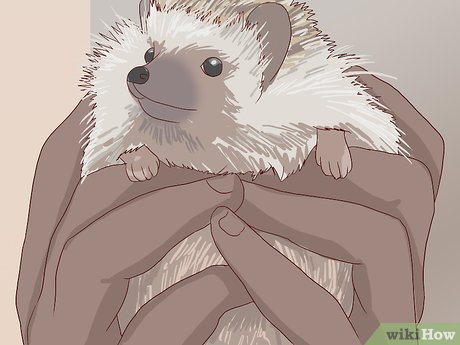 How to Visit SeaWorld San Diego Picture 32