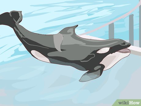 How to Visit SeaWorld San Diego Picture 7