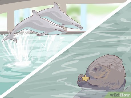 How to Visit SeaWorld San Diego Picture 8