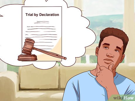 How to Write a Letter Pleading Not Guilty Picture 10