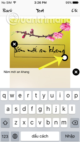 How to write calligraphy letters on iPhone with Calligraphy Online Picture 8