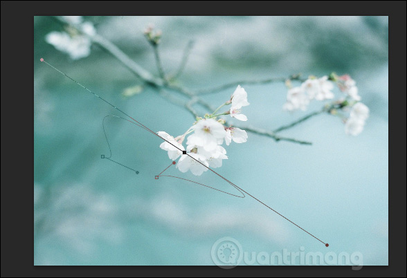 How to write curves in Photoshop Picture 11