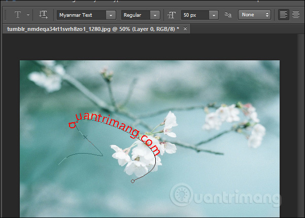 How to write curves in Photoshop Picture 12