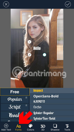 How to write text on photos on iPhone Picture 7