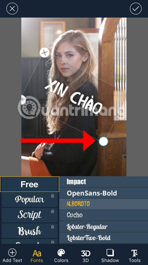 How to write text on photos on iPhone Picture 9