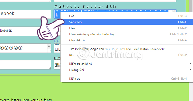 How to write unique effects, bold, italic, underlined Facebook status, FB comments Picture 9