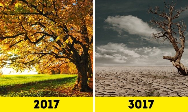 How will the world change in the next 1000 years? Picture 6