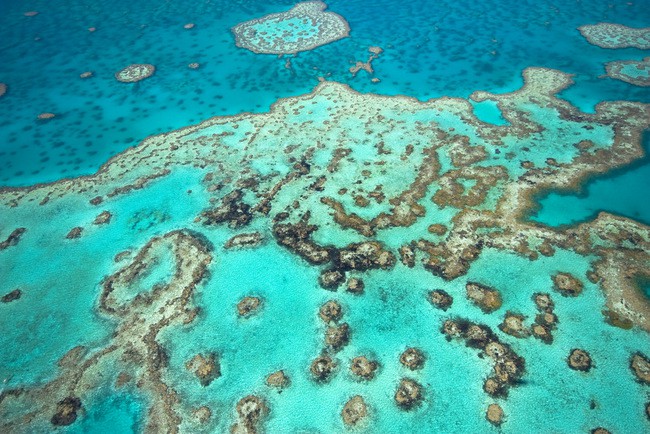 Human DNA is 600 times longer than the distance from the Sun to Earth Picture 5