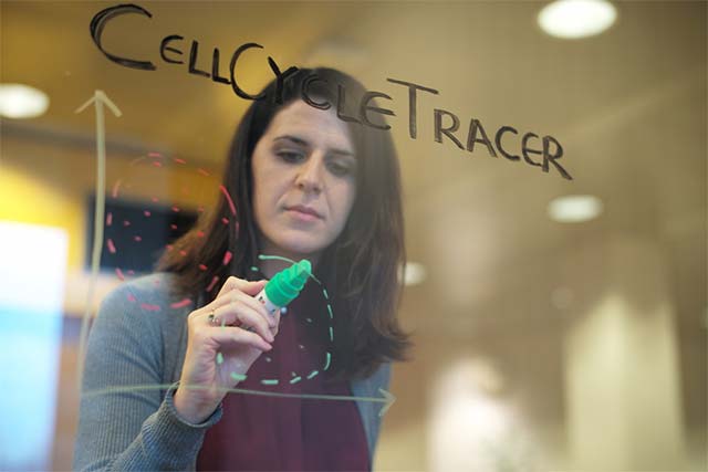 IBM researchers analyzed breast cancer cell structure with AI Picture 2