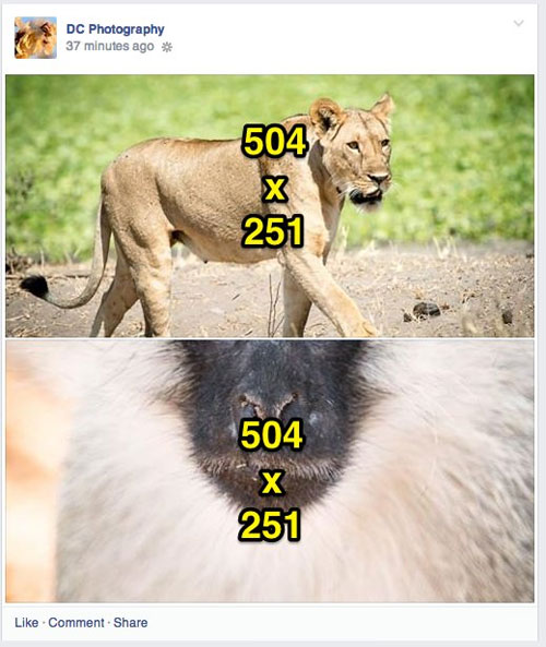 Ideal photo sizes on Facebook Picture 11