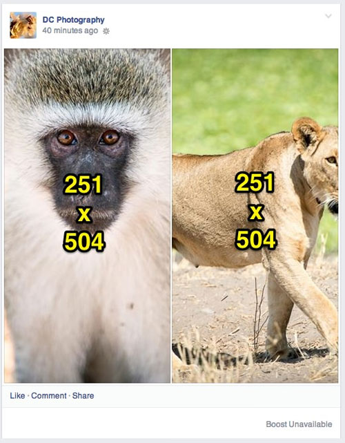 Ideal photo sizes on Facebook Picture 12