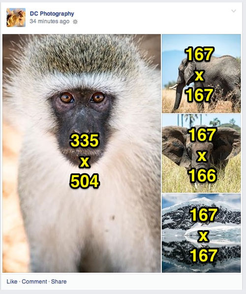 Ideal photo sizes on Facebook Picture 18