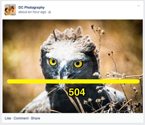 Ideal photo sizes on Facebook Picture 8