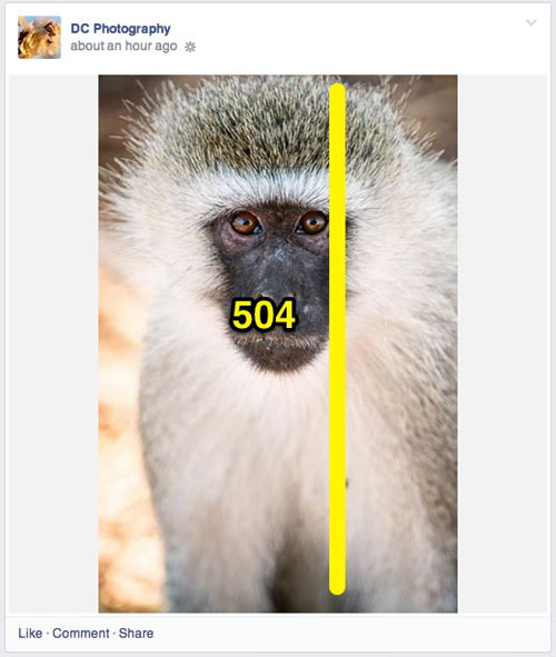 Ideal photo sizes on Facebook Picture 9